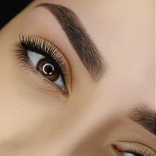 Airbrush Brows with Henna Certification