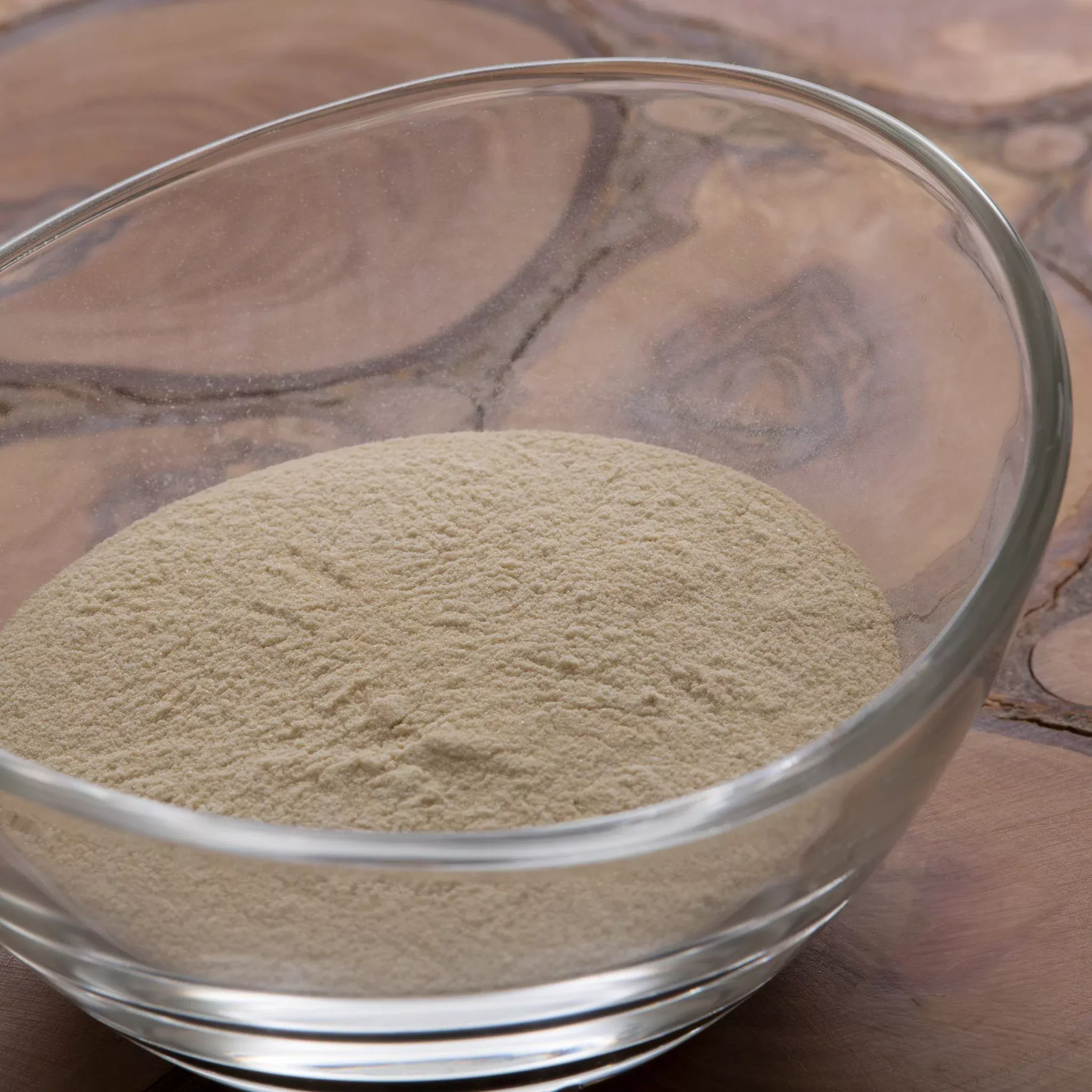 Aloe Vera Extract Powder 100x – Organic