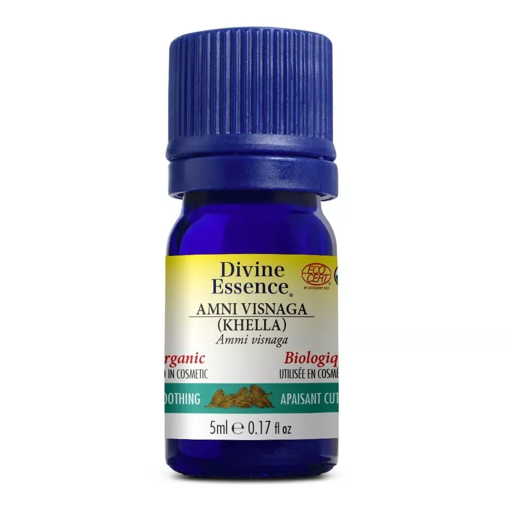 Ammi Visnaga (Khella) (Organic)