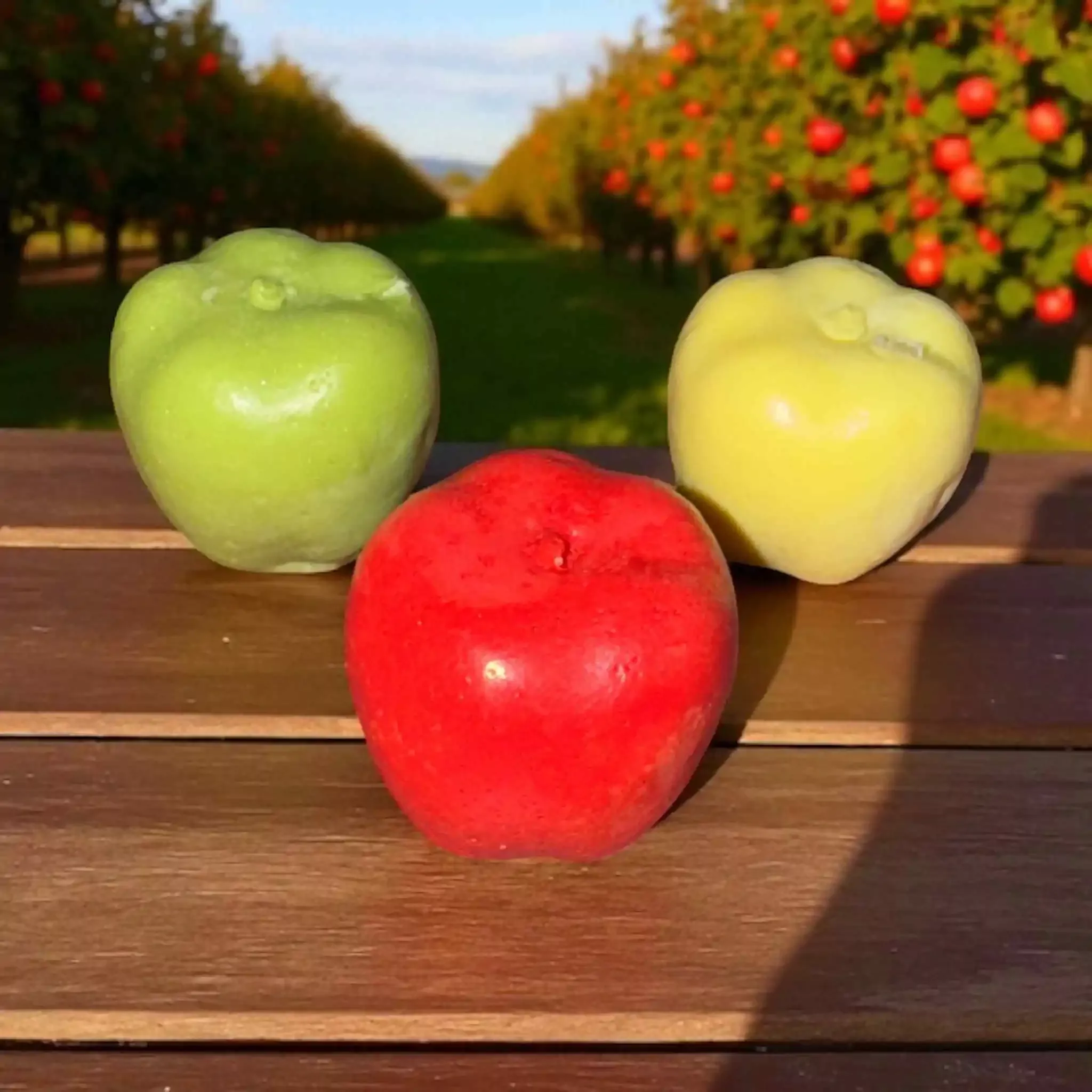 Apple Whole Mini Embeds Silicone Mold 16 Cavity 243