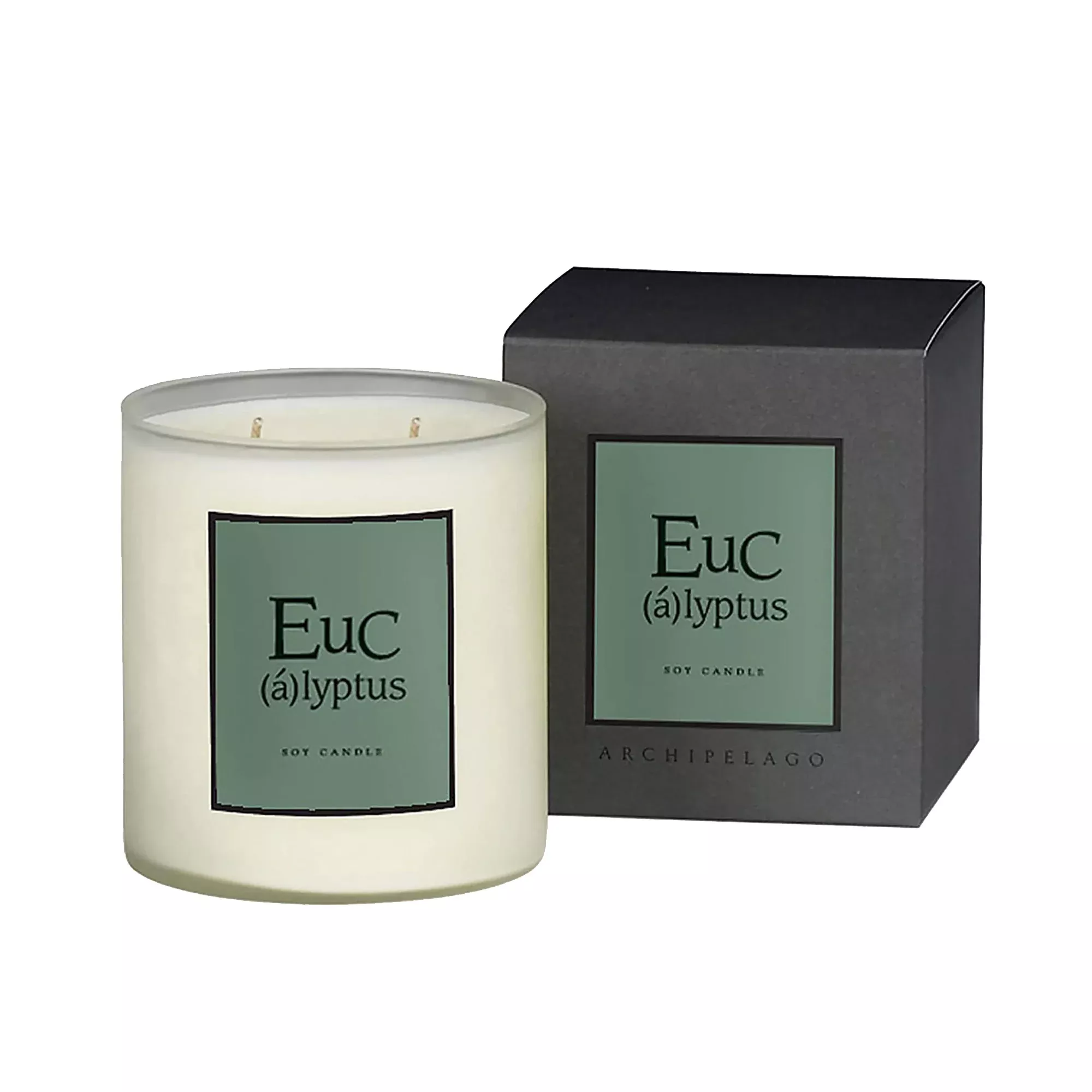 Archipelago Large Soy Candle Eucalyptus