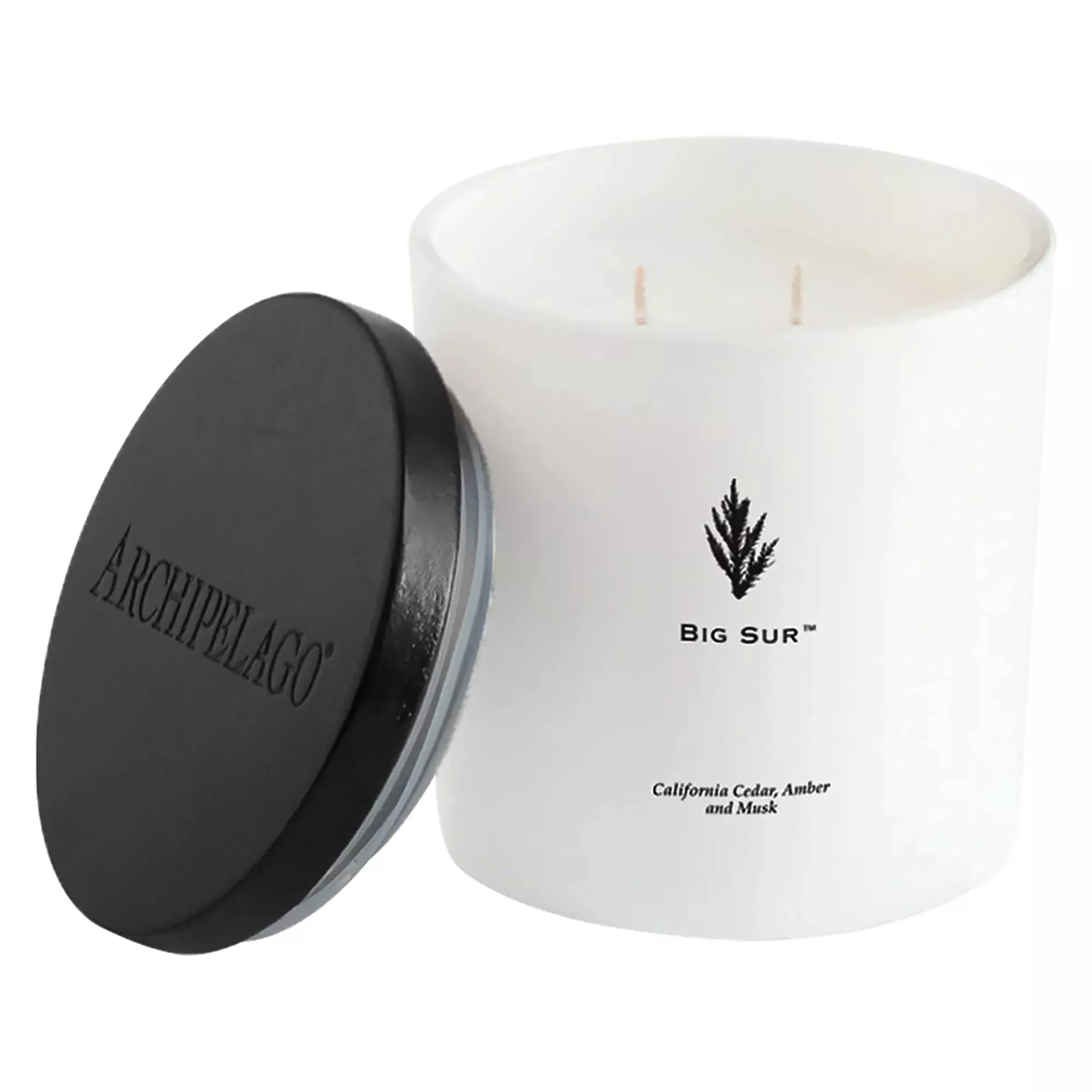 Archipelago Luxe Two-Wick Candle - 13oz