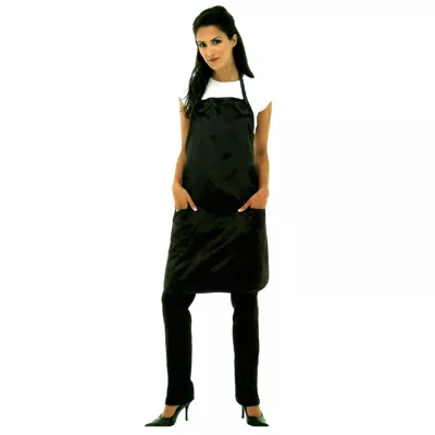 Betty Dain Satin Apron Style 943