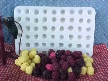 Blackberry Large Embeds 54 Cavity Silicone Mold 6039