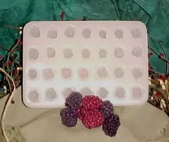 Blackberry X-Large Embeds 28 Cavity Silicone Mold 2255
