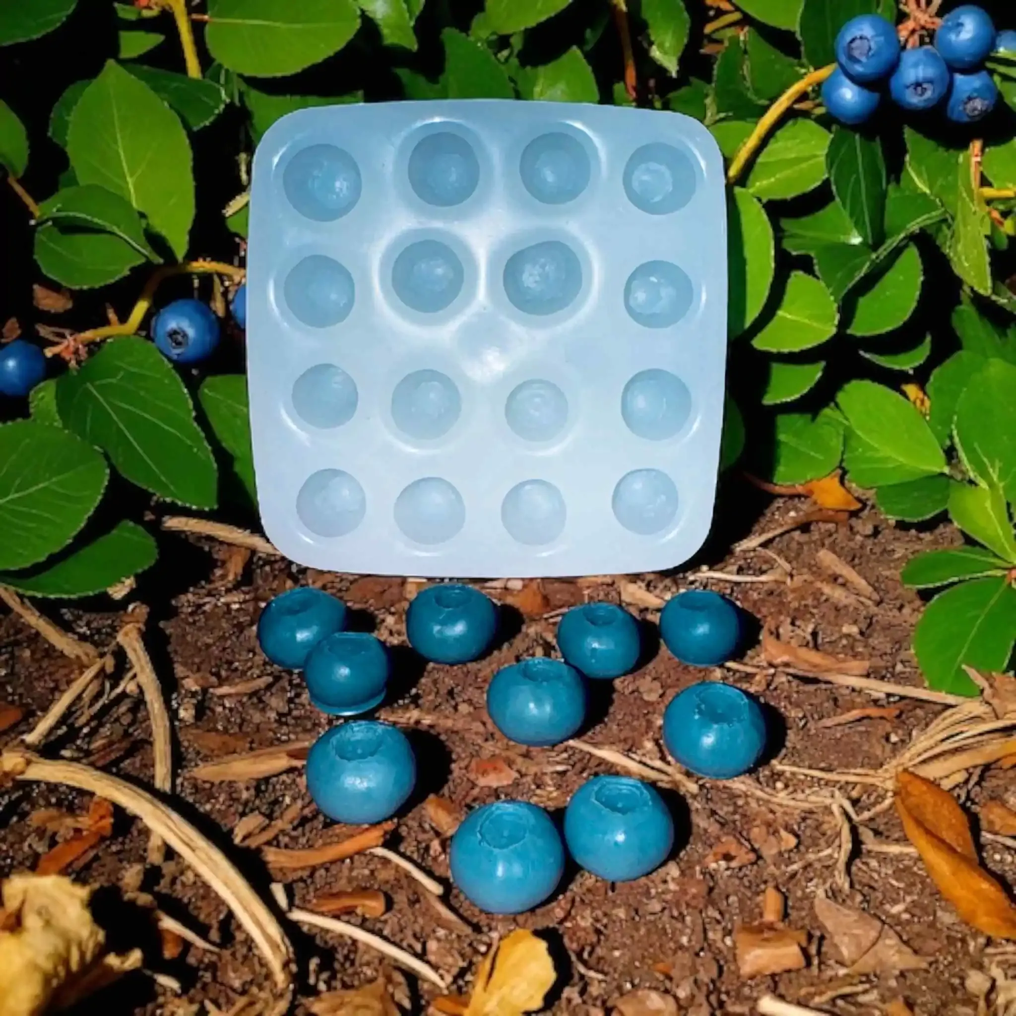 Blueberry/Cherry Embeds Silicone Mold 16 Cavity 887