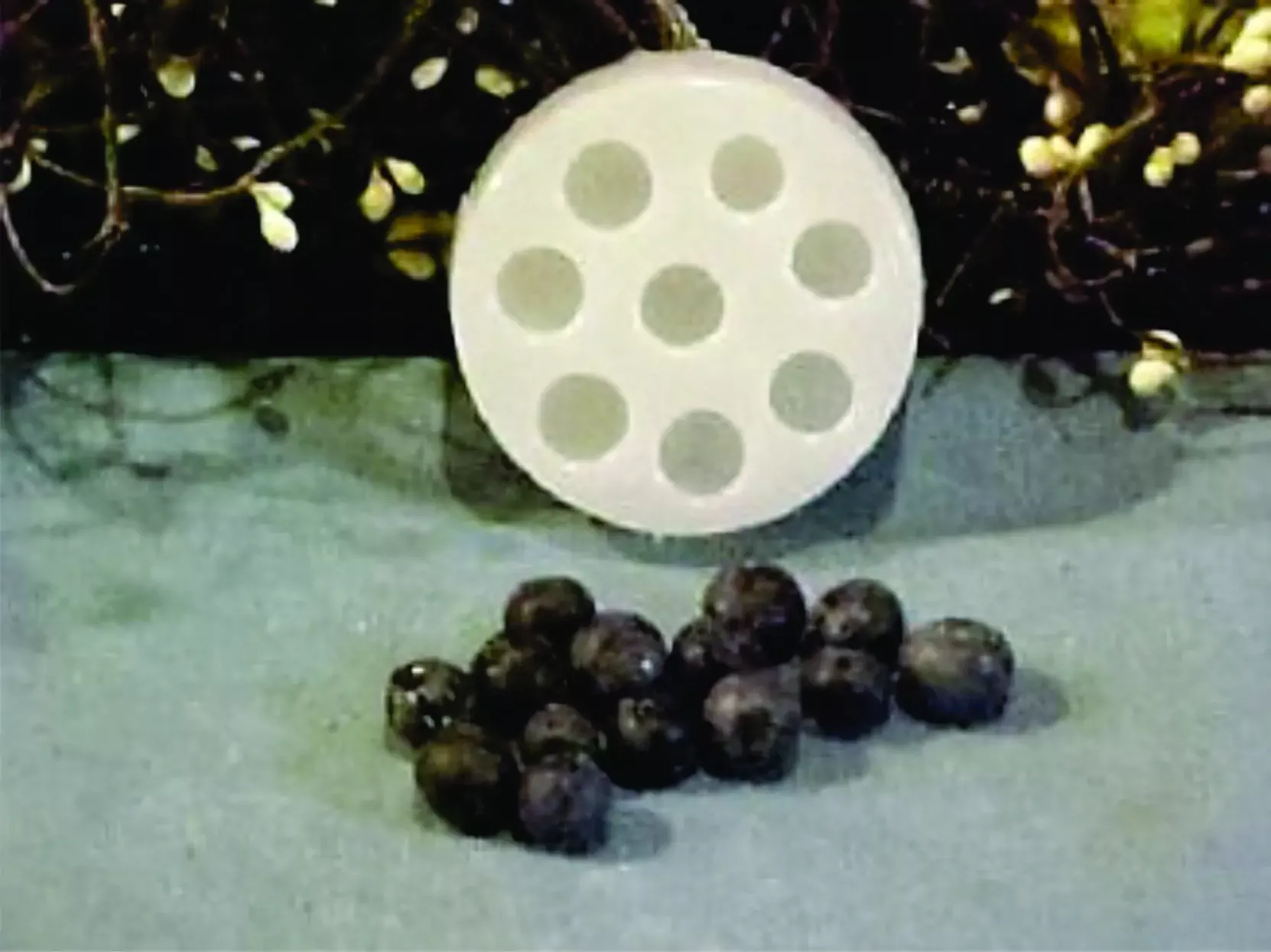 Blueberry Embeds 8 Cavity Silicone Mold 2582