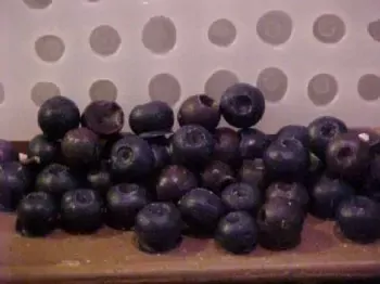 Blueberry Embeds 95 Cavity Silicone Mold 6052