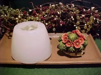 Cactus Plant Large Soap 1 Cavity Silicone Mold 1323