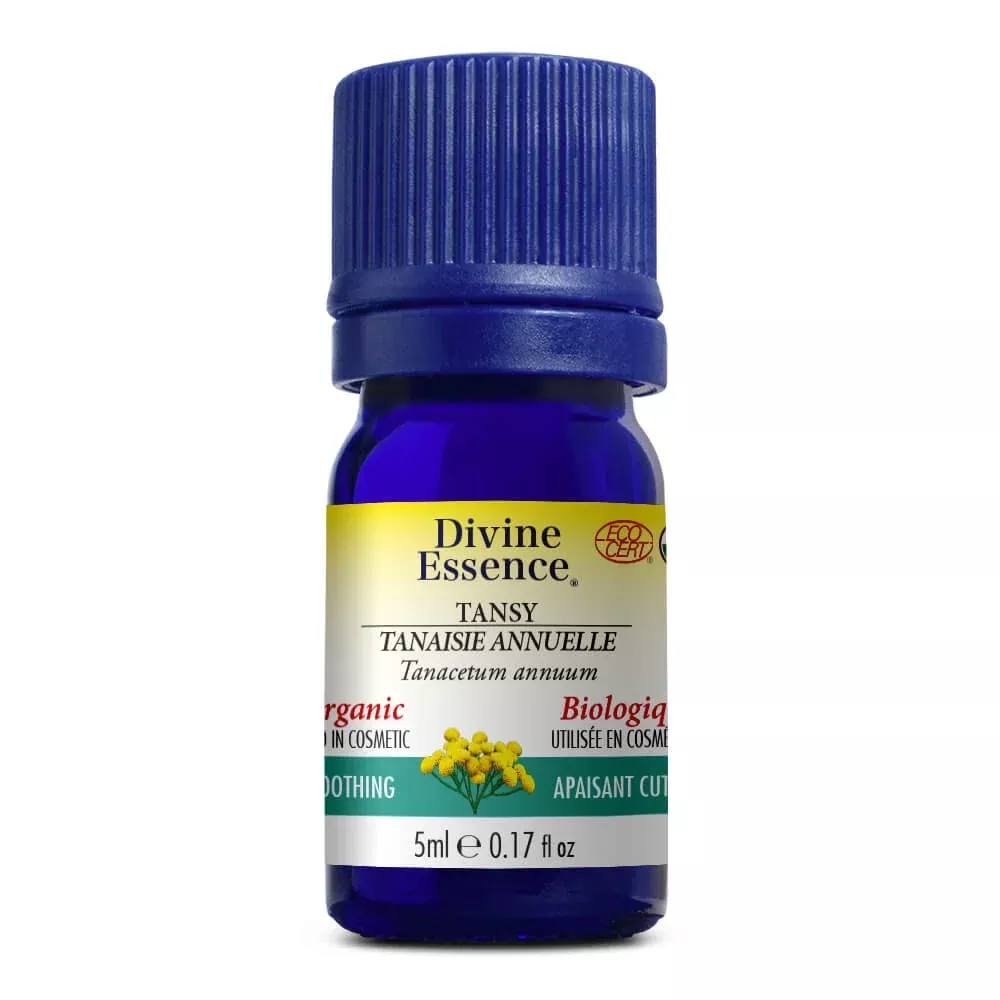 Chamomile - Blue (Tansy) (Organic)
