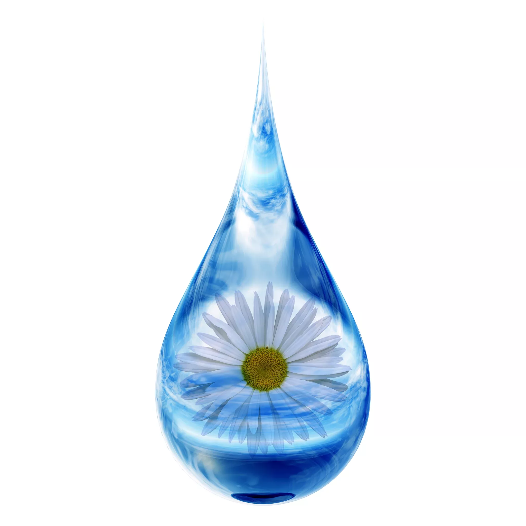Chamomile Floral Water