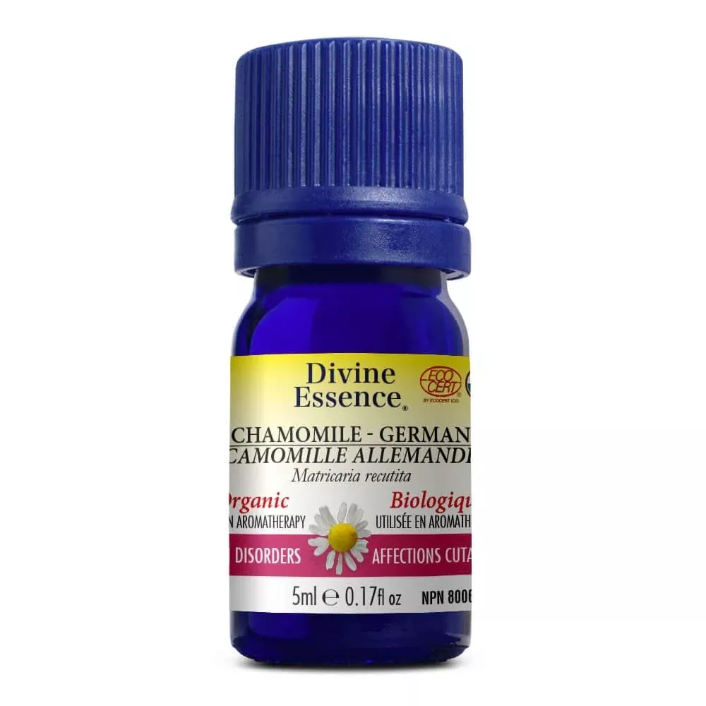 Chamomile – German (Organic)