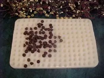 Chocolate Chip Embeds 187 Cavity Silicone Mold 6030