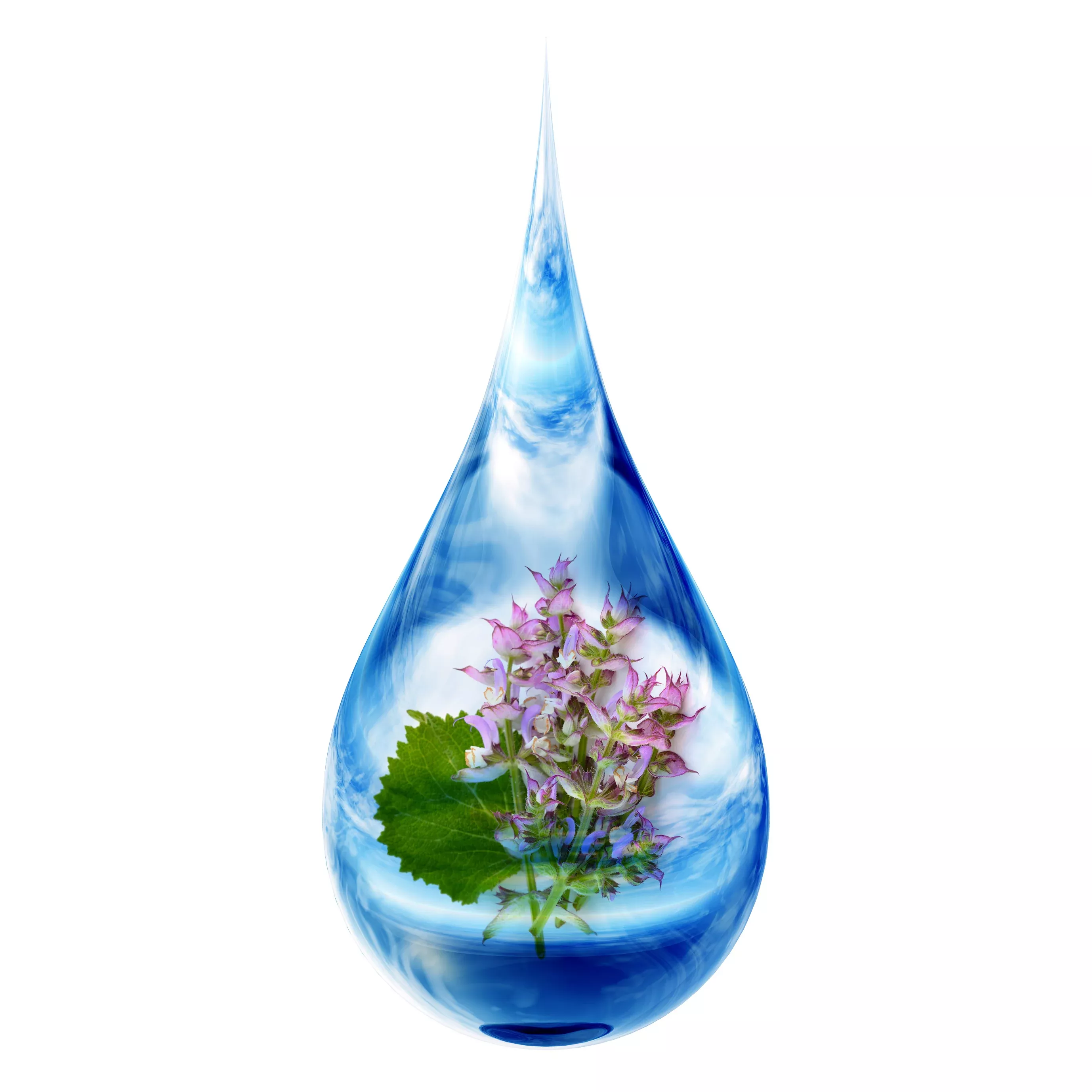 Clary Sage Floral Water
