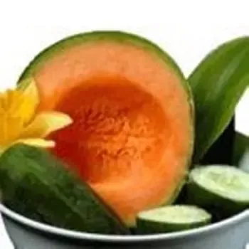 Cucumber Melon Natural Lotion