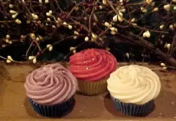 Cupcake with Swirl 1 Cavity Silicone Mold 1156