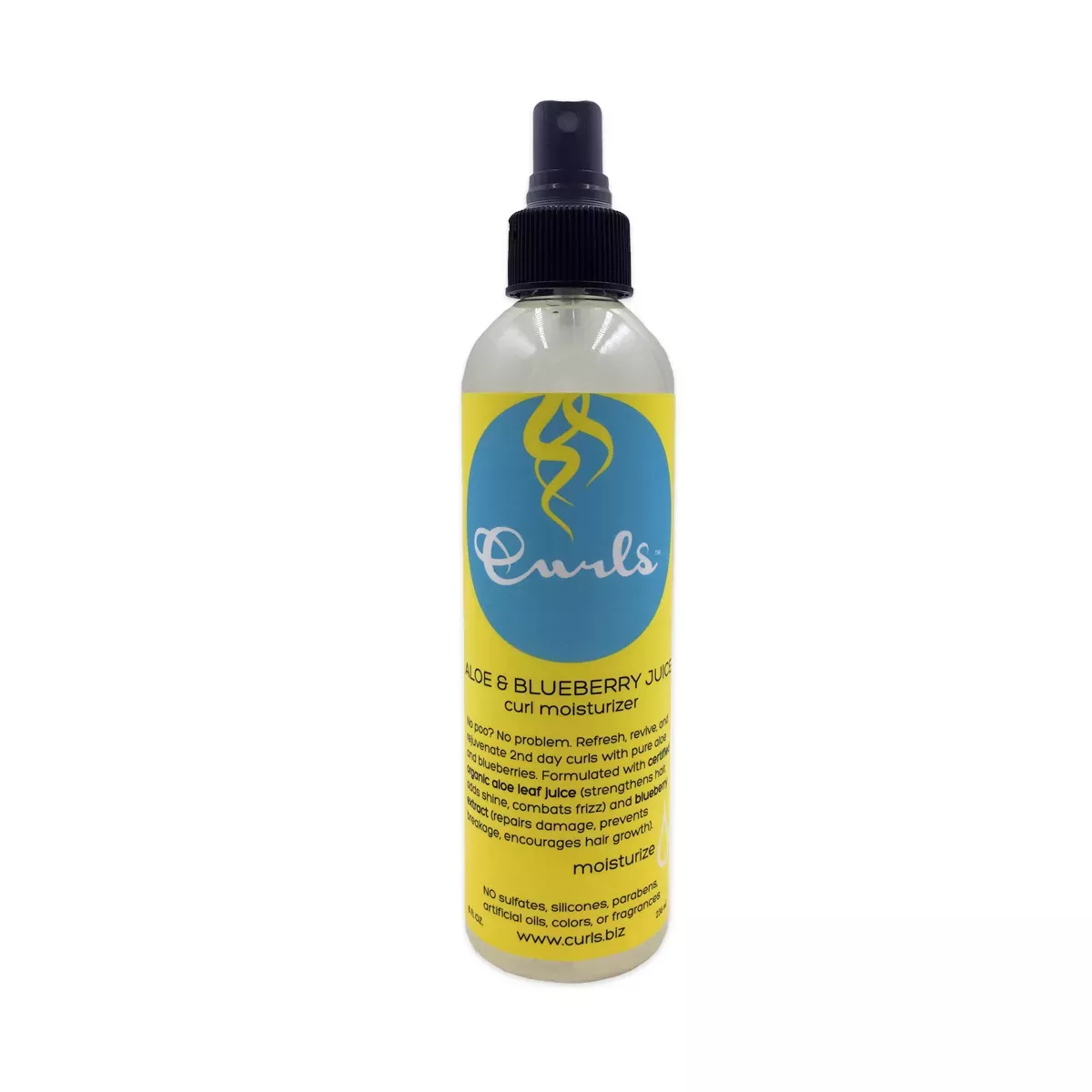 Curls Aloe & Blueberry Juice Curl Moisturizer - 8 fl oz