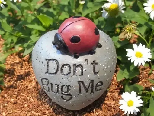 Don’t Bug Me Ladybug Large Soap 1 Cavity Silicone Mold 1388