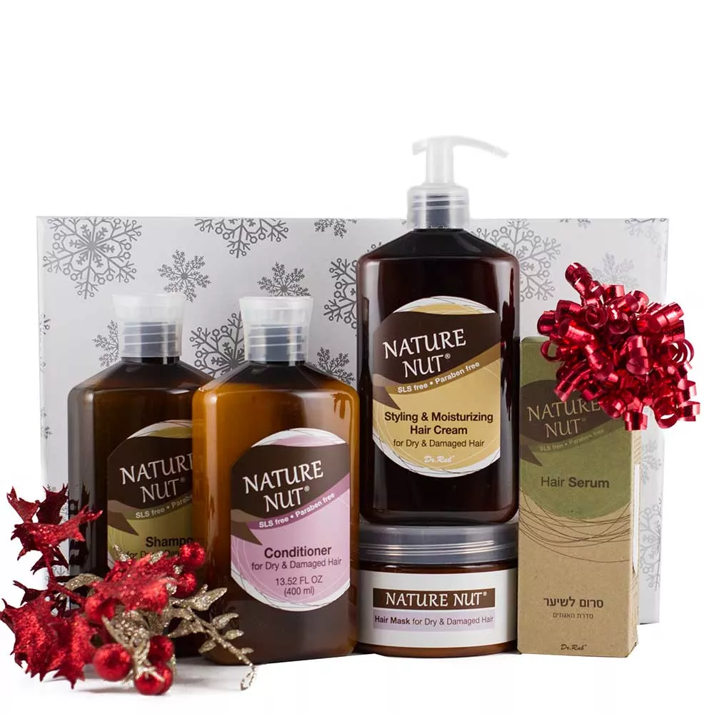 Dry & Damaged hair solution set