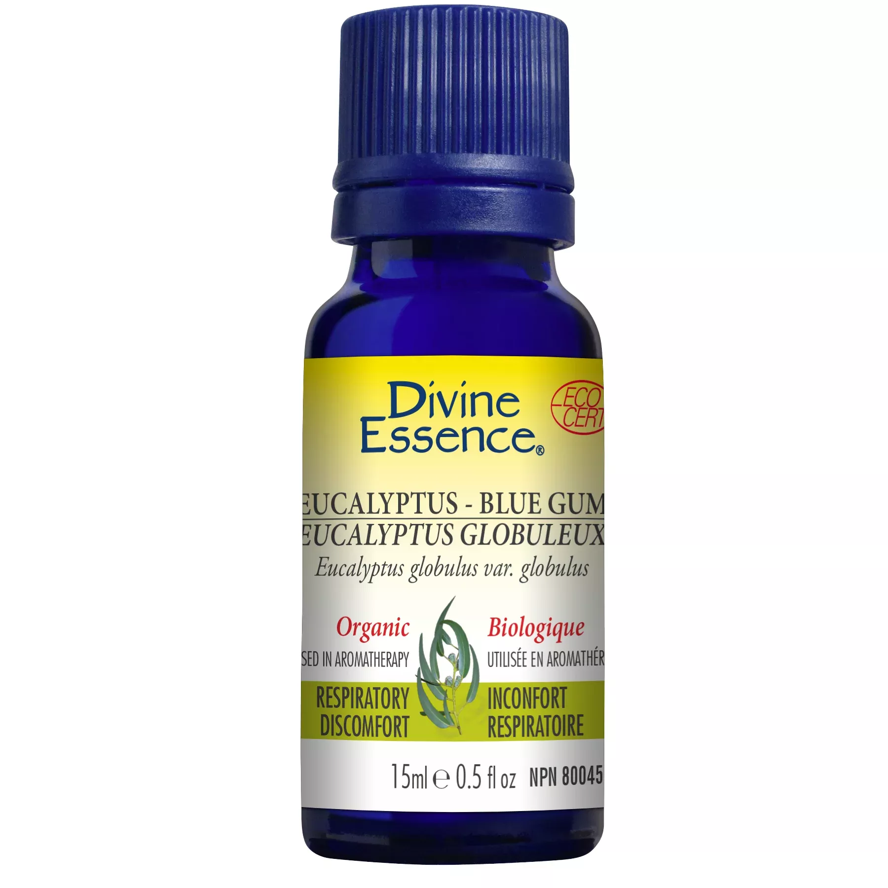 Eucalyptus - Blue Gum (Organic)