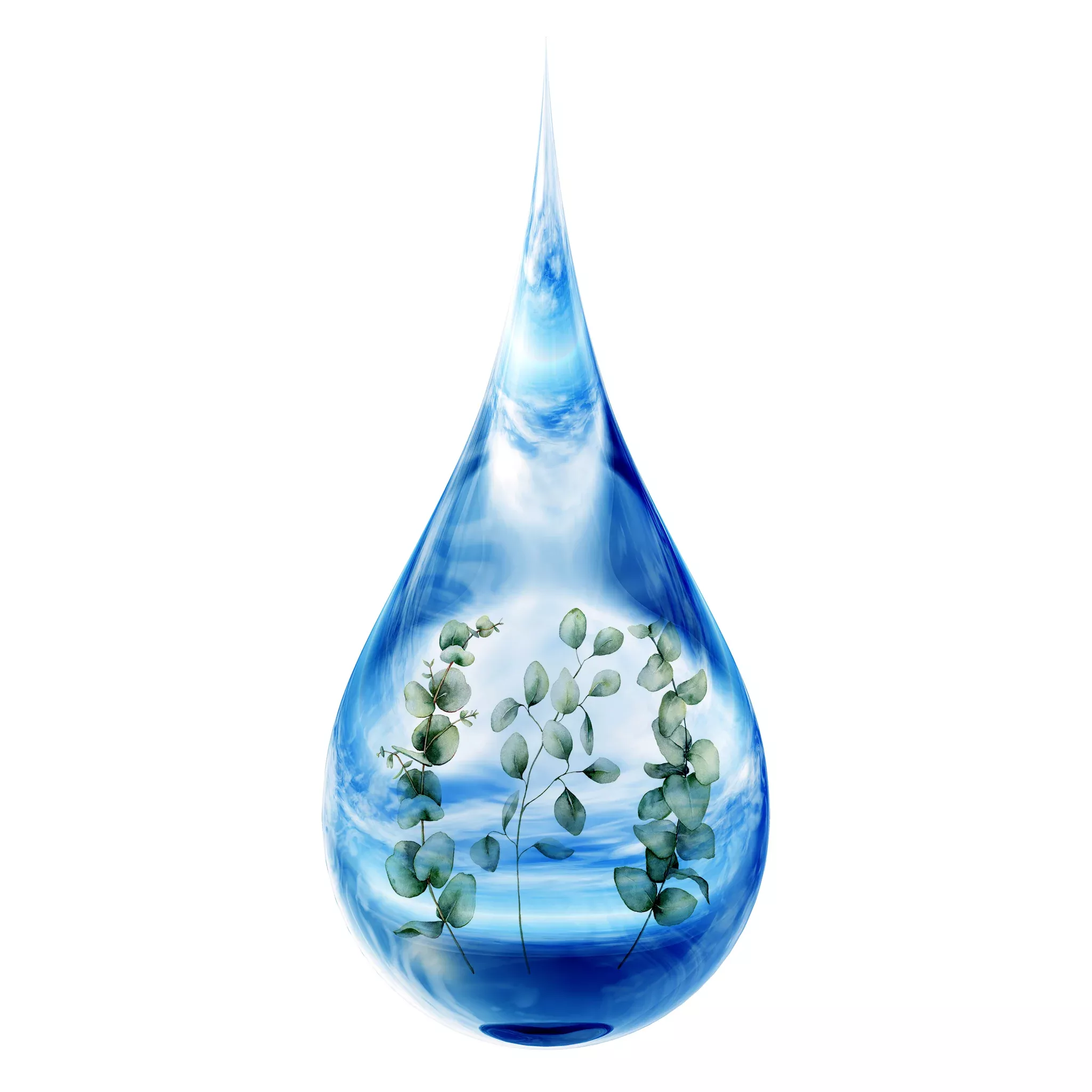 Eucalyptus Floral Water
