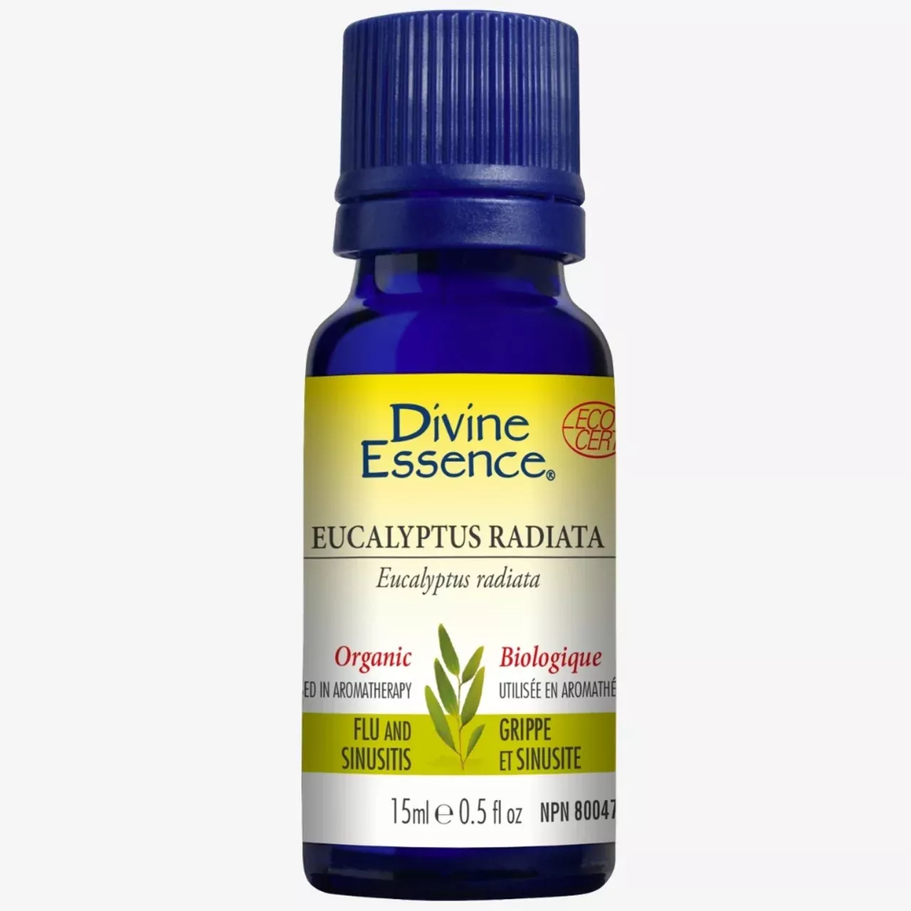 Eucalyptus – Radiata (Organic)