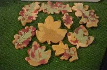 Fall Leaf Embeds 9 Cavity Silicone Mold 6019