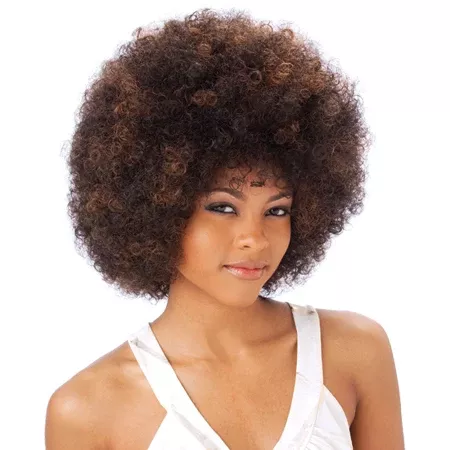 Freetress Equal Synthetic Wig – AFRO LARGE