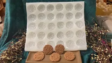 Gingersnap Cookie Embeds 30 Cavity Silicone Mold 8022