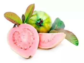 Groovy Guava Natural Lotion