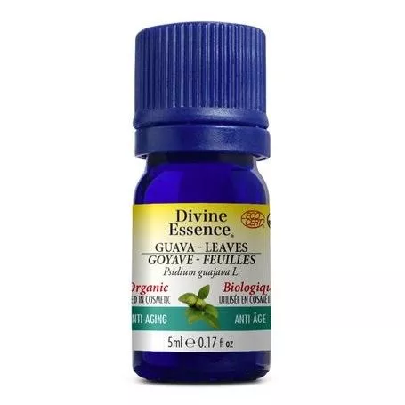 Guava - Leaves (Organic)