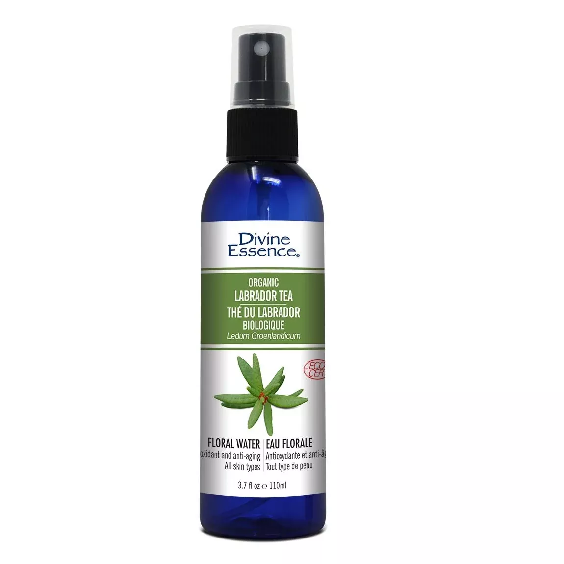Hydroxol - Labrador Tea (Organic)