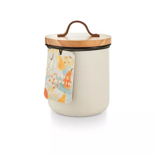 ILLUME Rustic Pumpkin Autumnal Equinox Enameled Candle