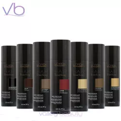 L’Oreal Professionnel Hair Touch Up
