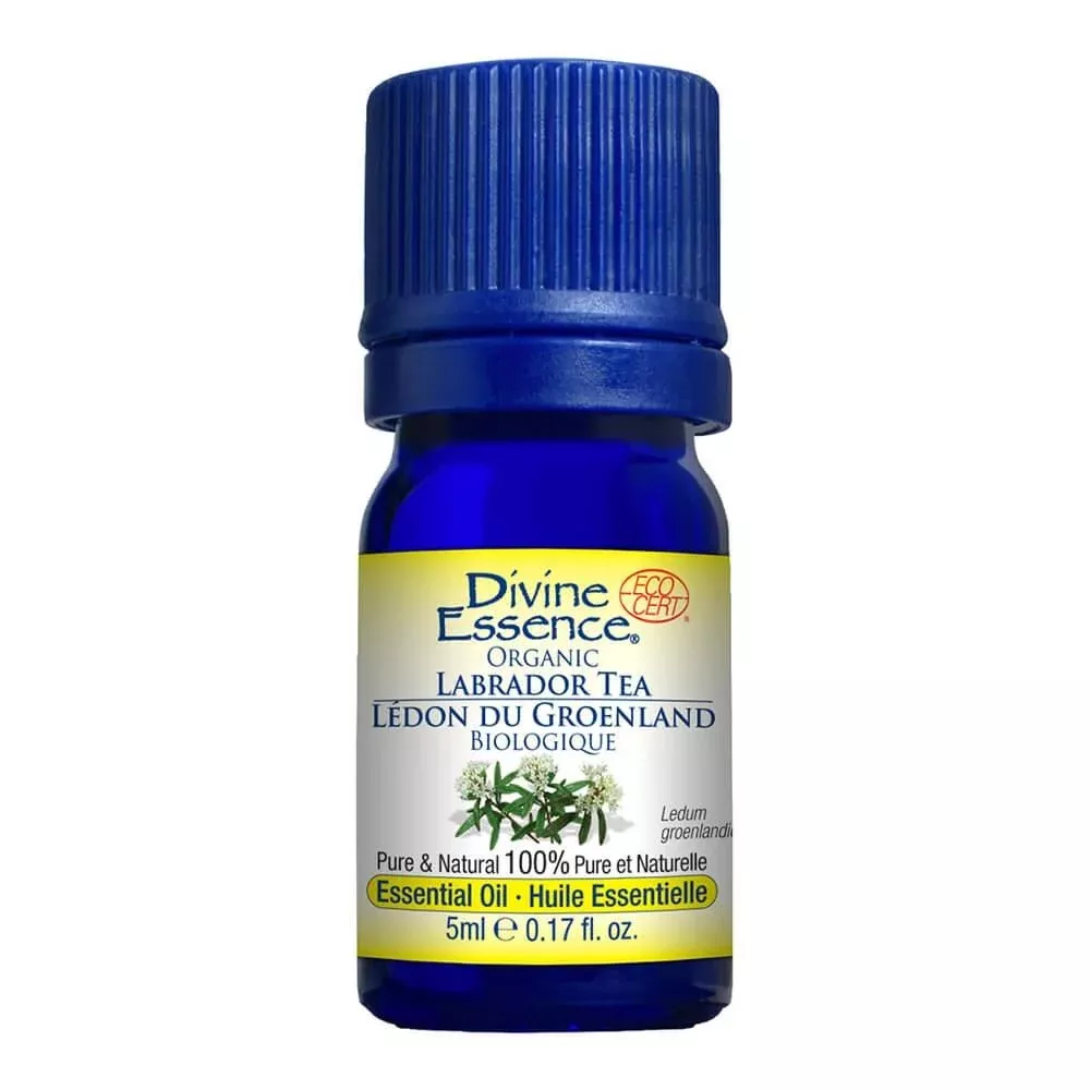 Labrador Tea (Organic)