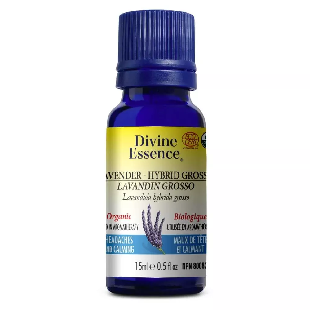 Lavander Hybrid – Grosso (Organic)