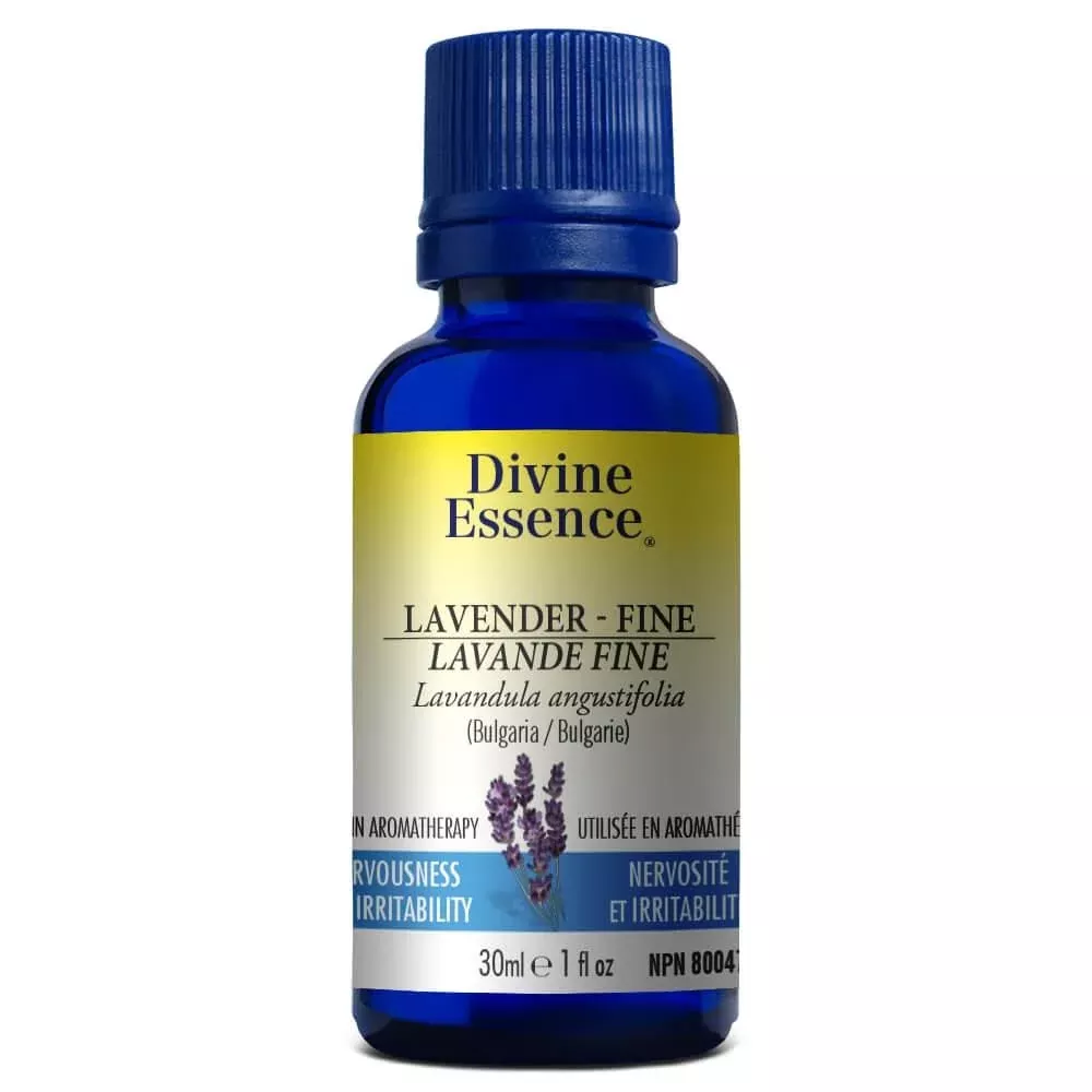 Lavender - Fine