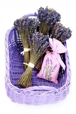 Lavender Natural Lotion