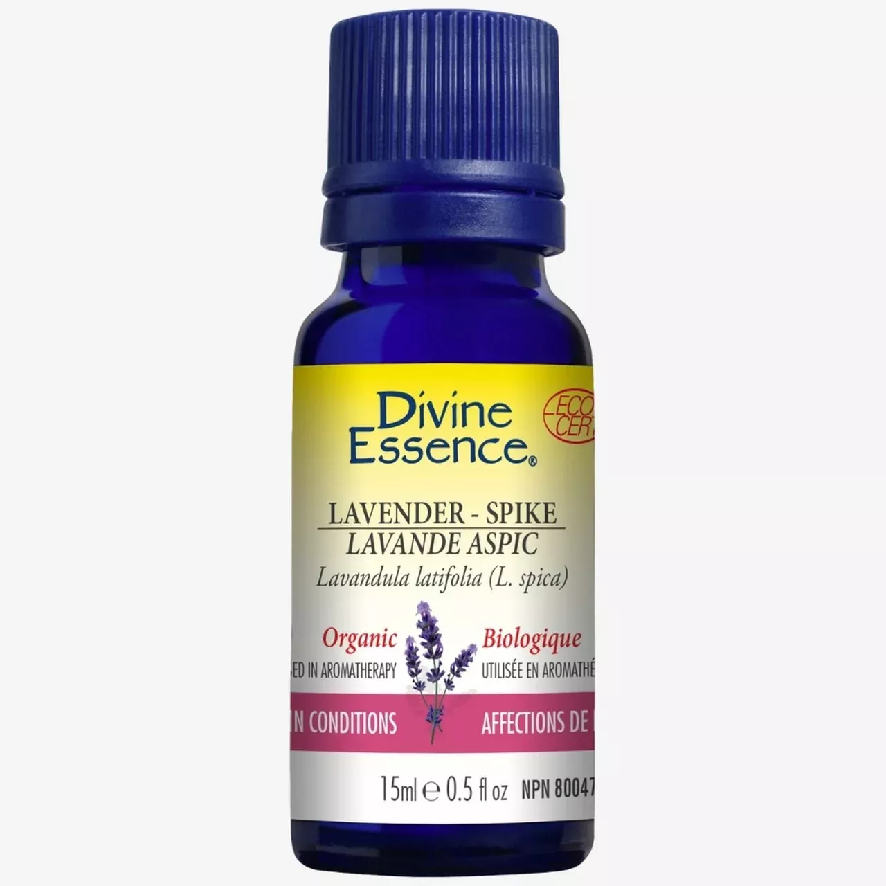Lavender - Spike (Organic)