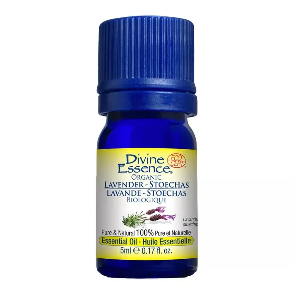 Lavender – Stoechas (Organic)