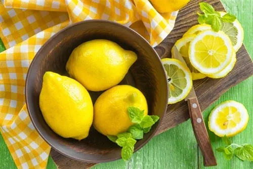 Lemon Organic Essential Oil