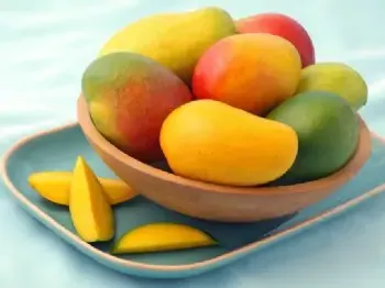 Mango Tango Whipped Body Butter