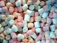 Marshmallow Mini Embeds 25 Cavity Silicone Mold 740