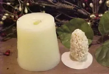 Morel Top Mushroom Embed 1 Cavity Silicone Mold 1744
