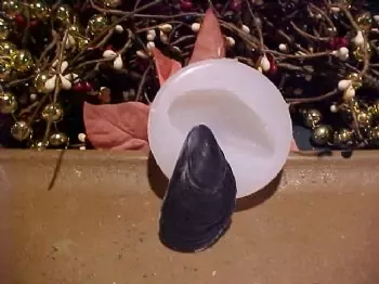 Mussel Shell Embed 1 Cavity Silicone Mold 2517