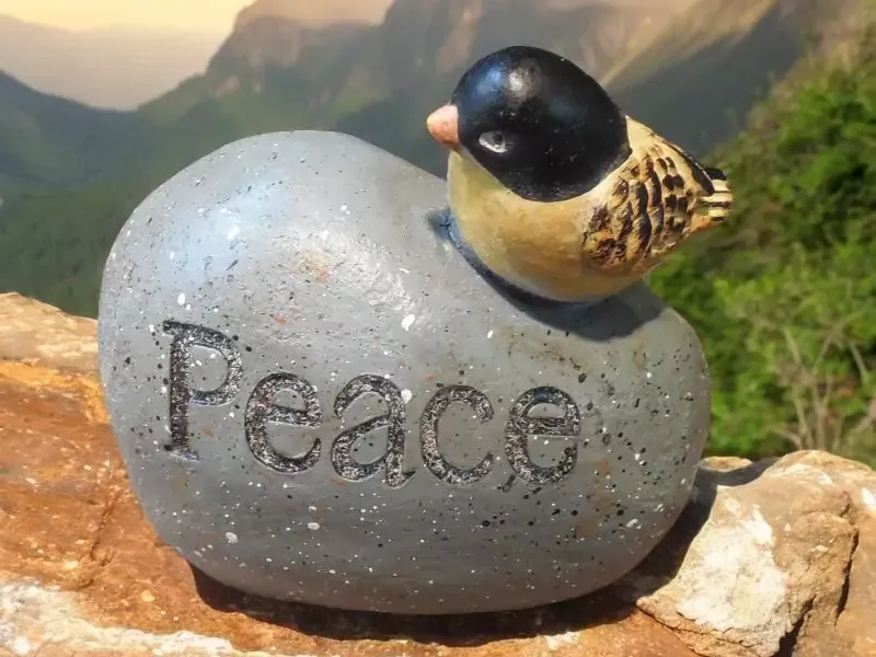 Peace Bird Large Soap I Cavity Silicone Mold 1381