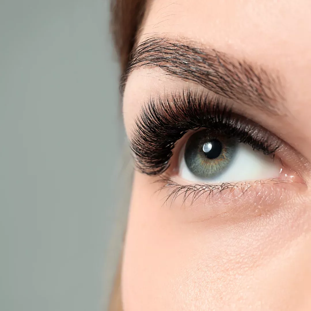 Perfecting Lash Fans Certification
