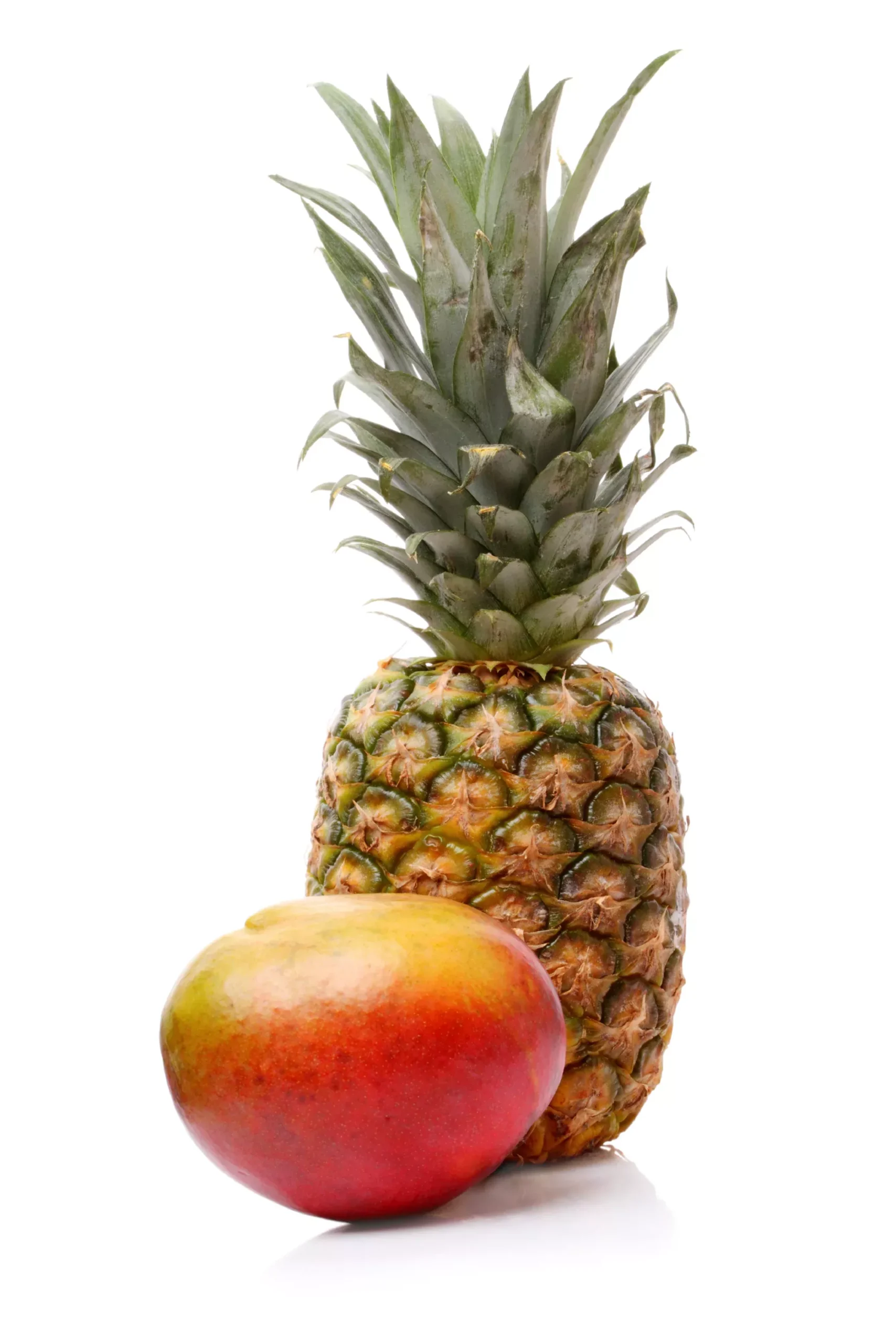 Pineapple Mango Fragrance Oil – BBW Type