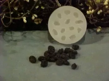 Raisin and Dried Cranberries Embeds 12 Cavity Mold Silicone Mold2545
