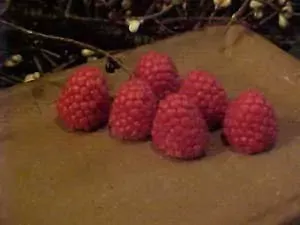 Raspberry Huge Embeds 6 Cavity Silicone Mold 5318